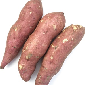 Potato Sweet