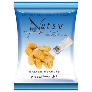 Nutsy Salted Peanuts 23G