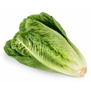 Lettuce Jordan (Kass)
