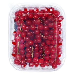 Berries Current Red Packet