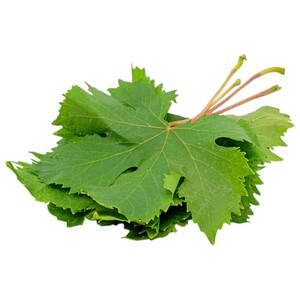 Grape Leaves