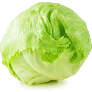 Lettuce Iceberg Jordan