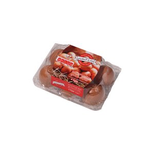 Saghbini Brown Eggs 6Pcs