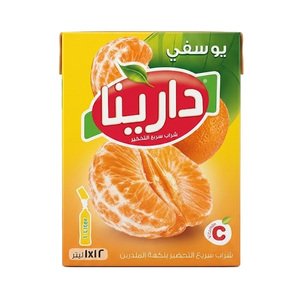 Darina Instant Powder Drink Mandarin 25G X12