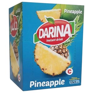 Darina Instant Drink Pineapple 30G X12