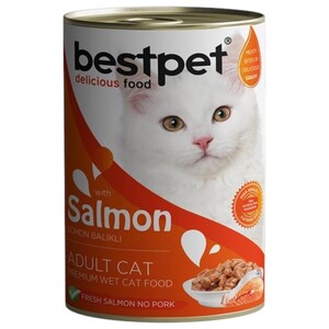 Bestpet Cat Food Salmon 400G