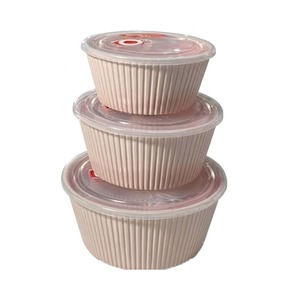 Shunchang Fresh Keeping Bowl 3Pcs
