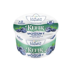 Hayatna Kefir Yoghurt Blueberry 150 Gr