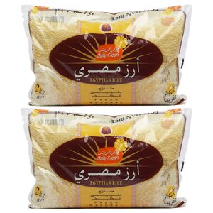 Daily Fresh Egyptian Rice 2 + 2 Kg Price Offer