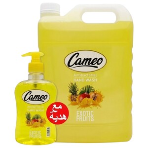 Cameo Hand Wash Antibacterial Exotic Fruit 4L + 500Ml