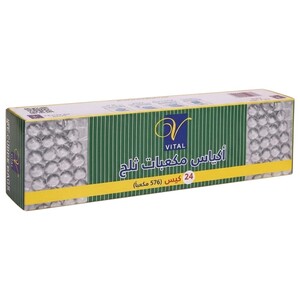 Vital Nylon Roasting & Ice Cube Bags 24 Pieces