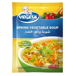 Vegeta Spring Vegetable Soup 60 Gr