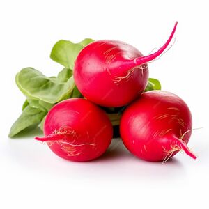 Fresh Radish Ecom