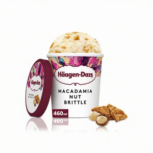 Haagen-Dazs Ice Cream Macadamia Brittle