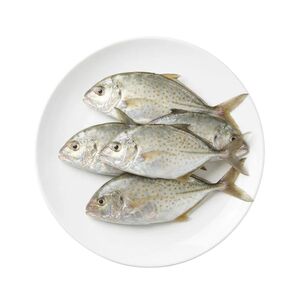 Fresh Local Safi Sunaifi