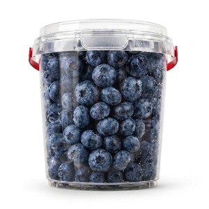 Blueberry Packet 500G