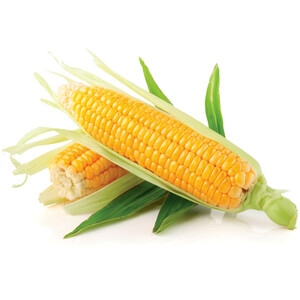 Fresh Corn /Pcs