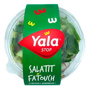 Yala Salatit Fatoush Salad